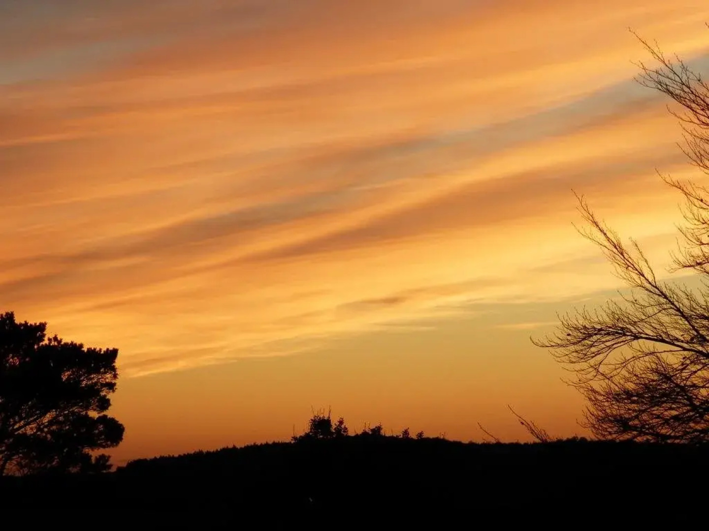 Ferienhaus Meeresrauschen