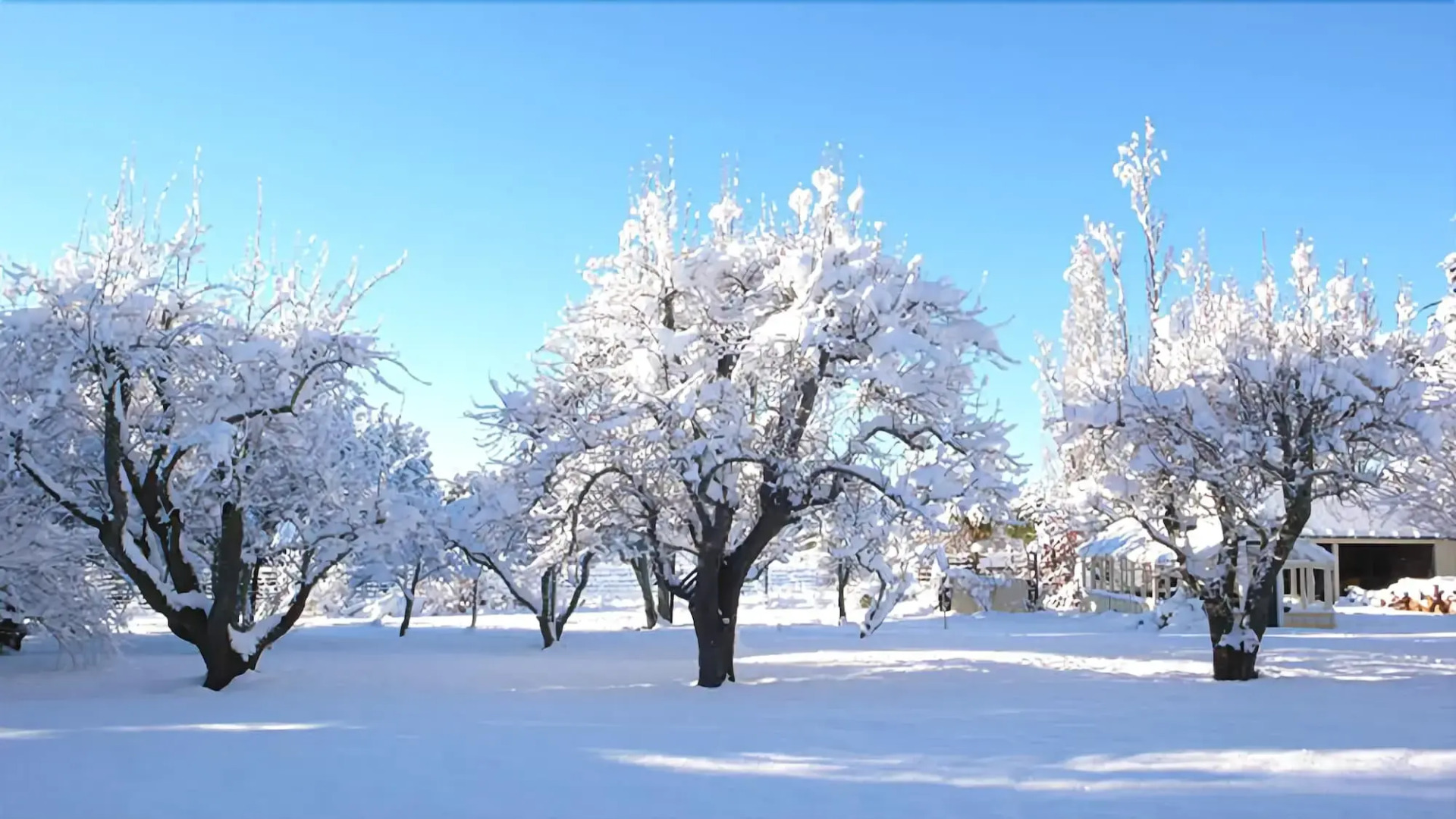 The Stablehand Quarters at Gunyah