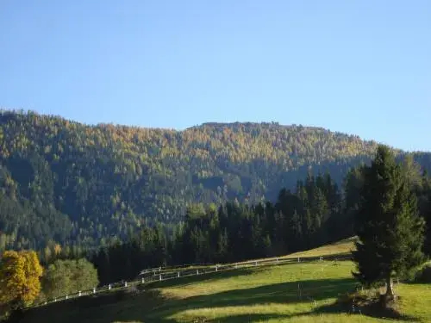 Maierlhof
