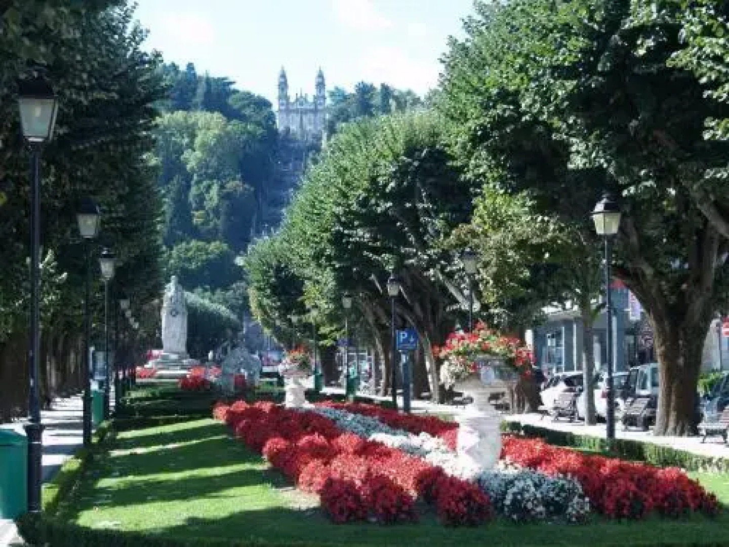 Camping Lamego Douro Valley