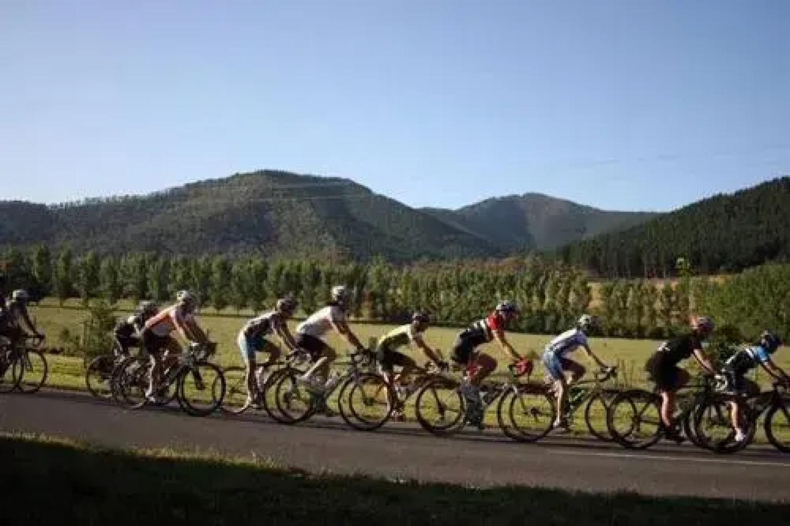 Apple Blossom Retreat