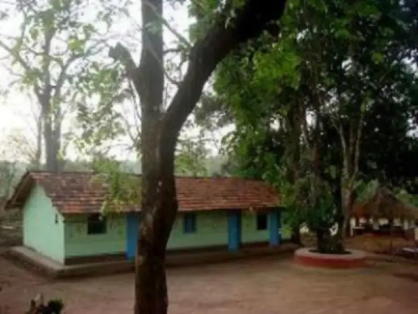 Dandeli Homestay