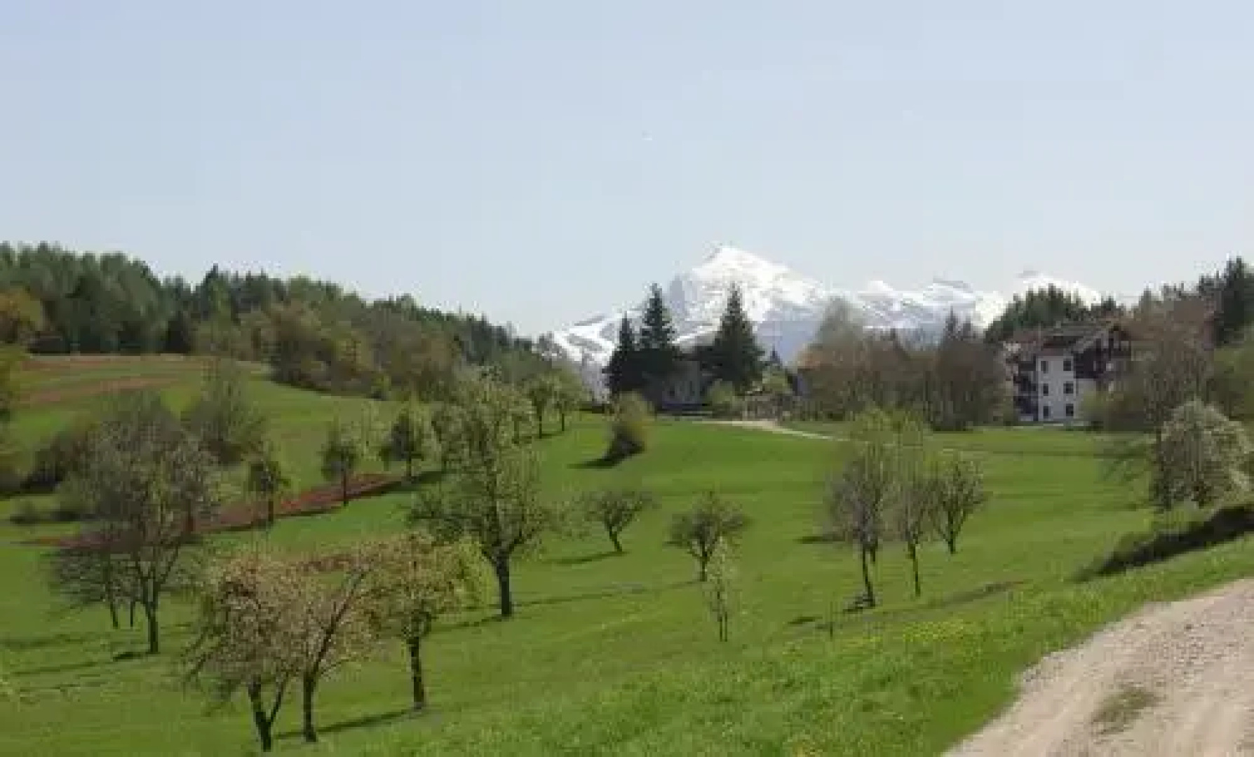 Agriturismo Girasole