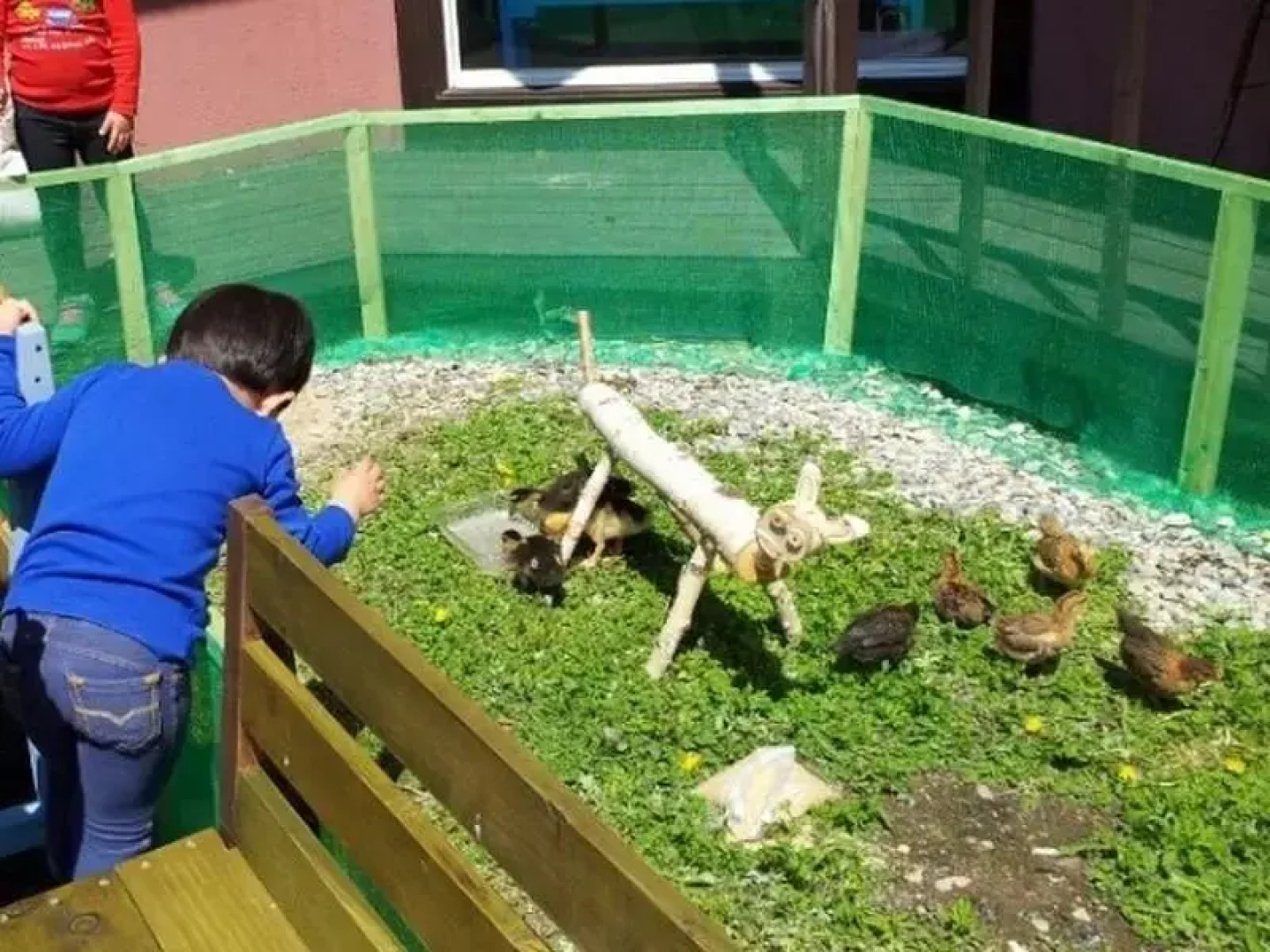 Treasurevill Pension