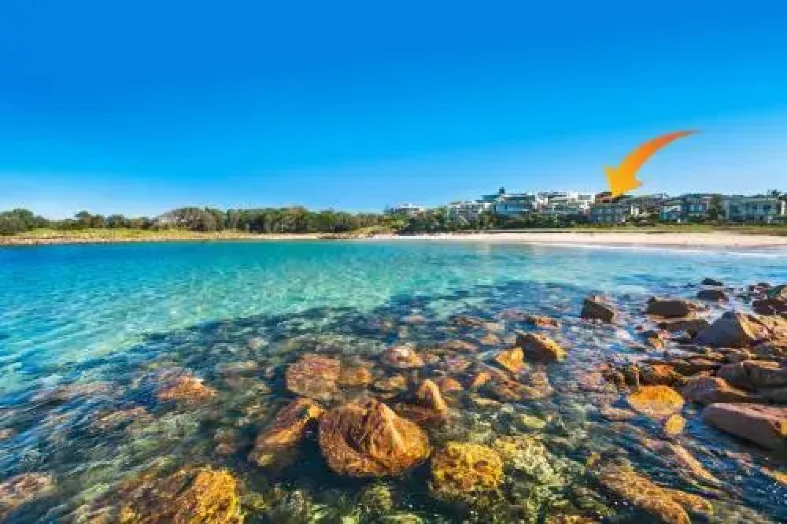 Sails on the Beachfront