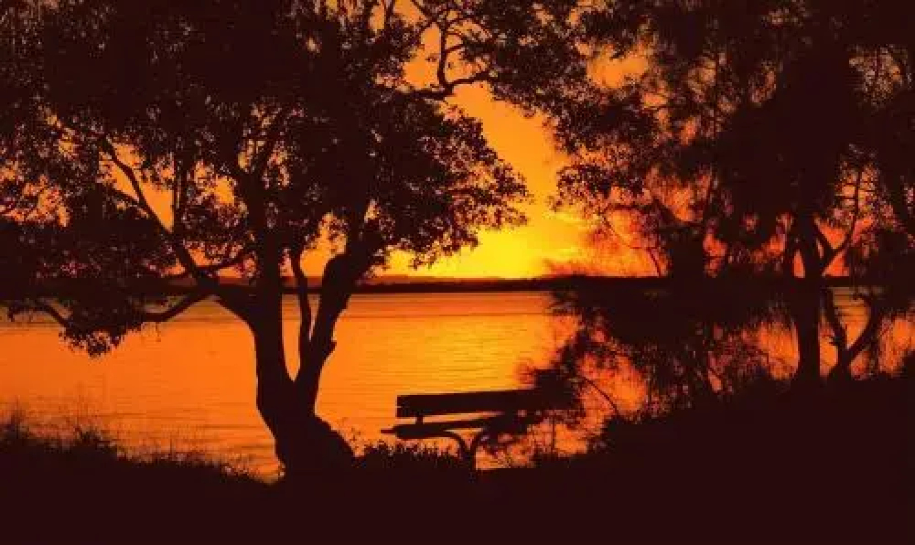 Comfy Ground Floor Unit opposite waterfront! Welsby Pde, Bongaree