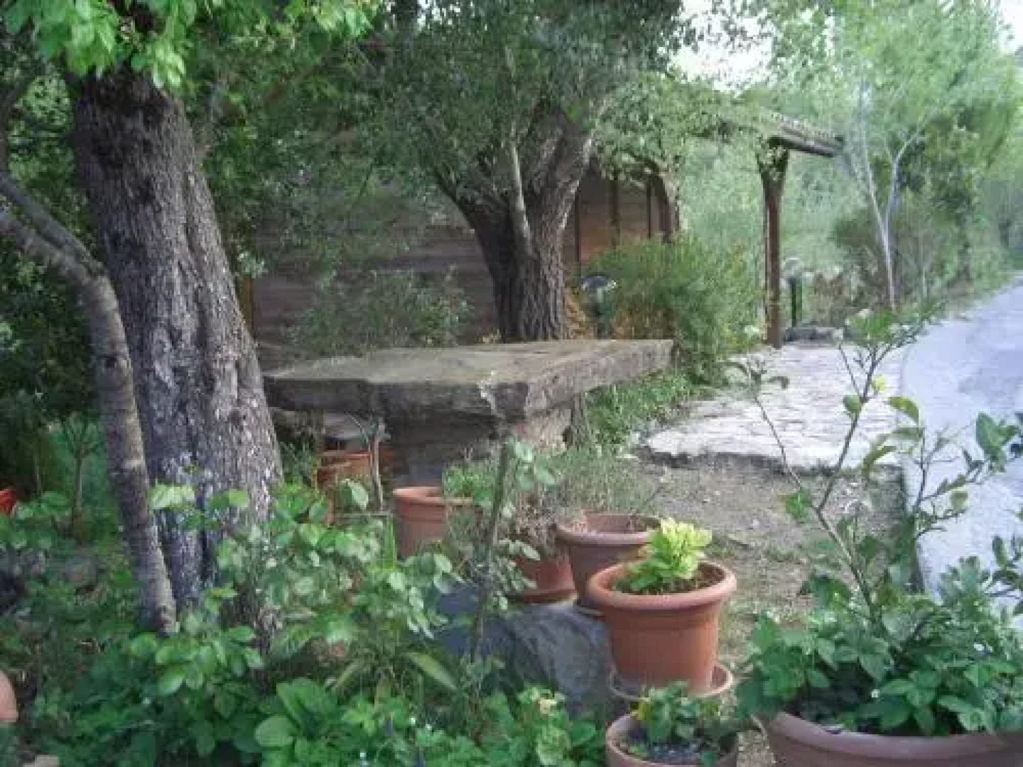 B&B Ristorante Grotta Del Romito