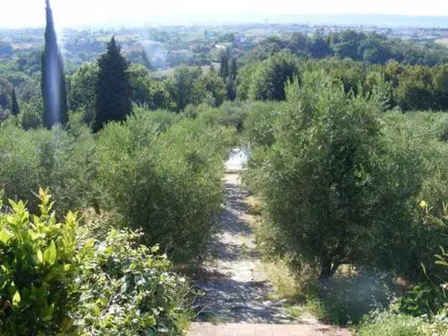 Agriturismo Montalto