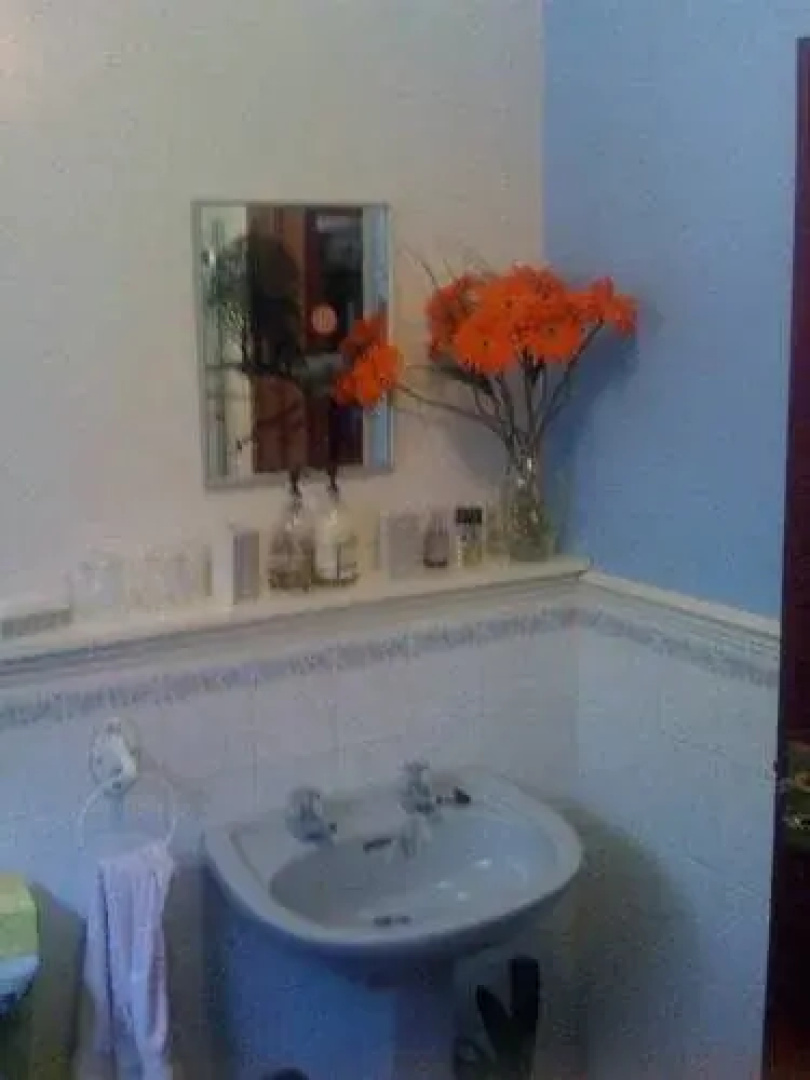 Newcourt B & B