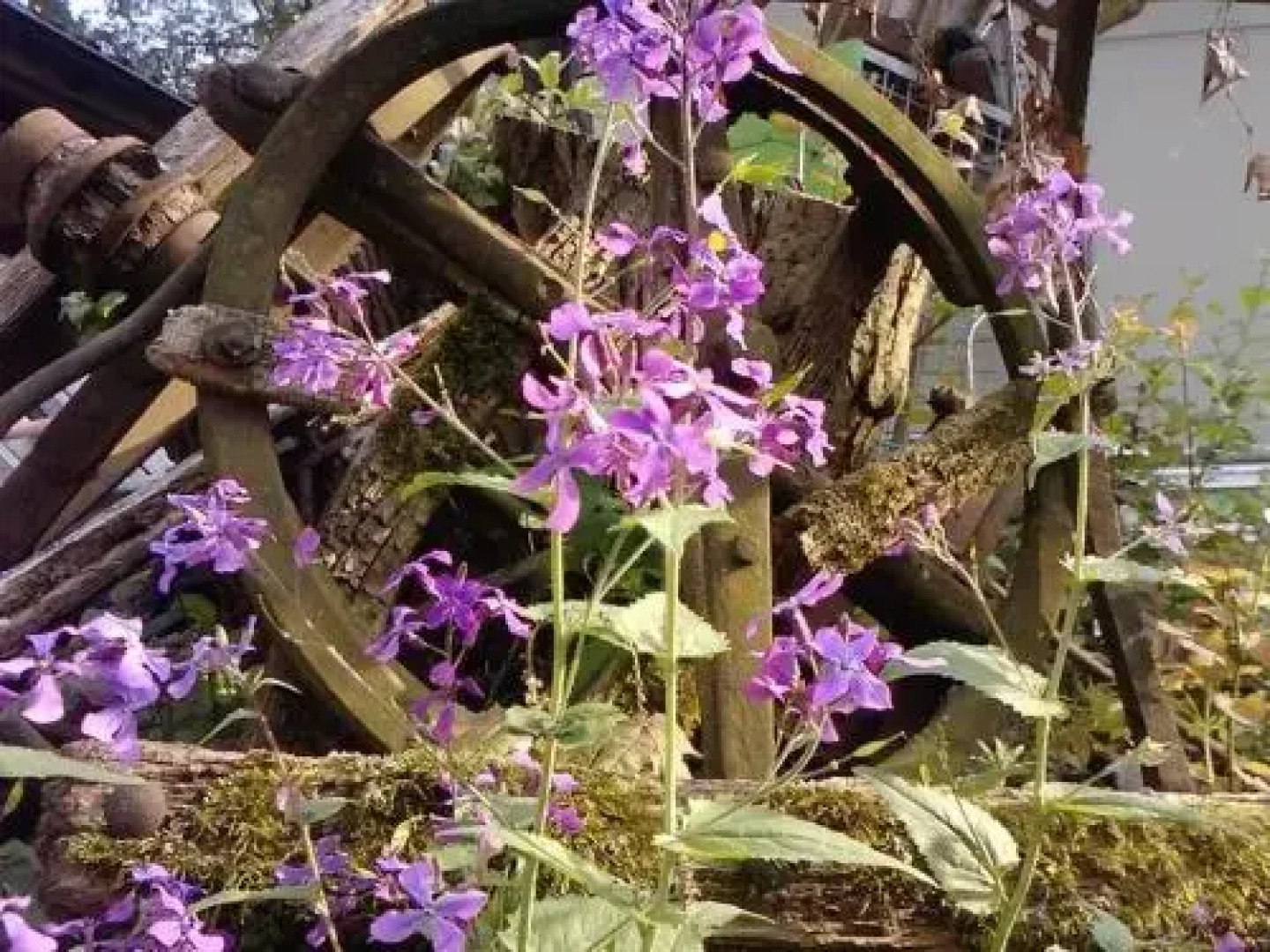 Ruhiges Keller Apartement