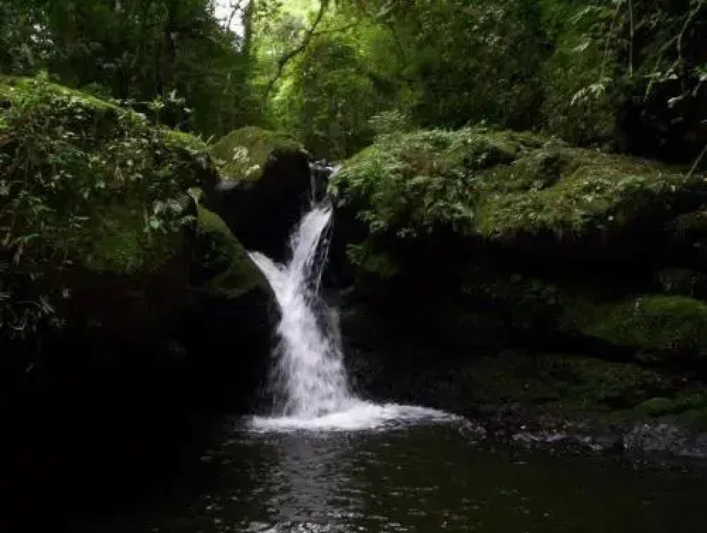 Terra do Sempre Reserva Ecolï¿½gica e Pousada