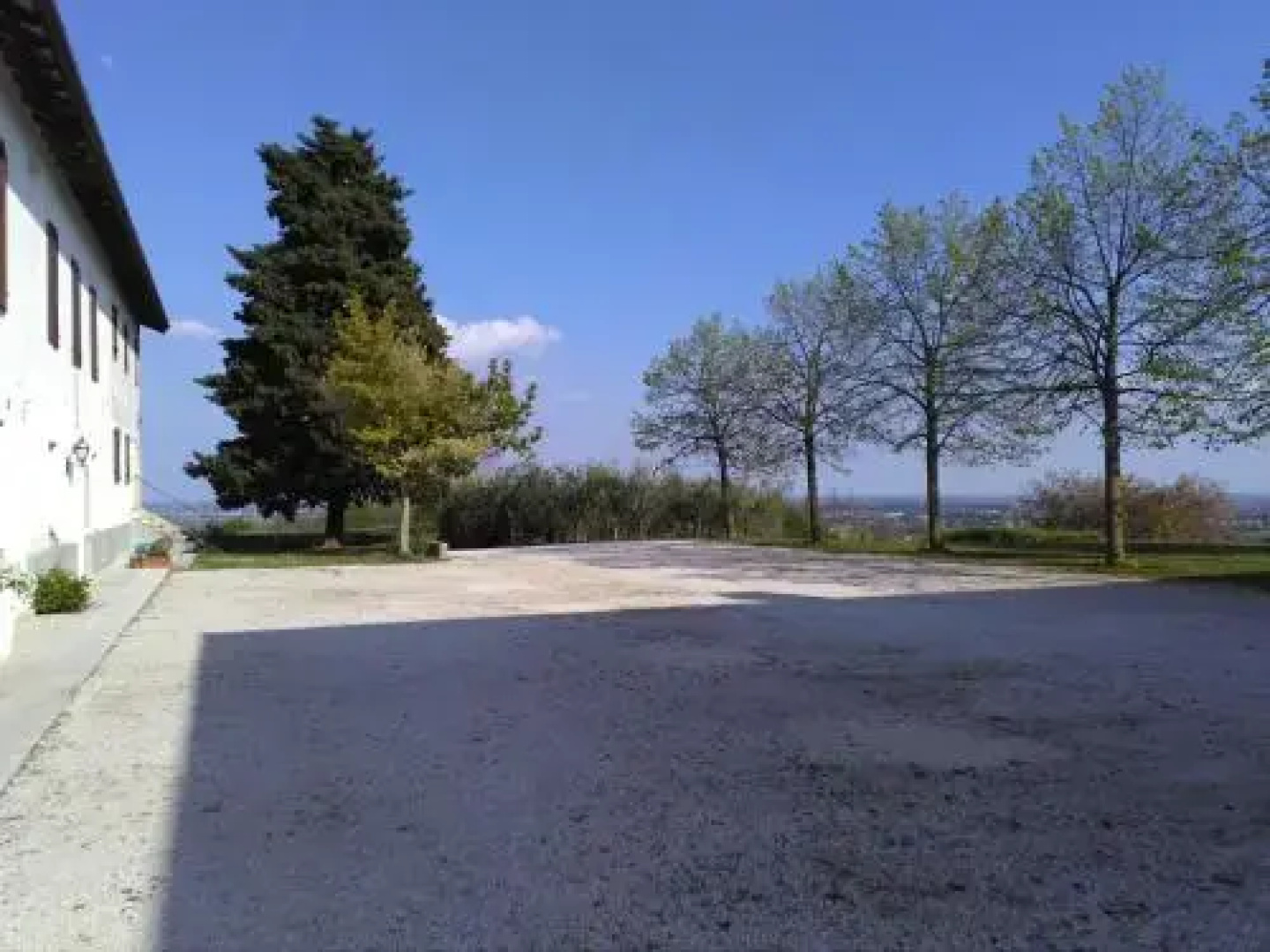 CaBenetti