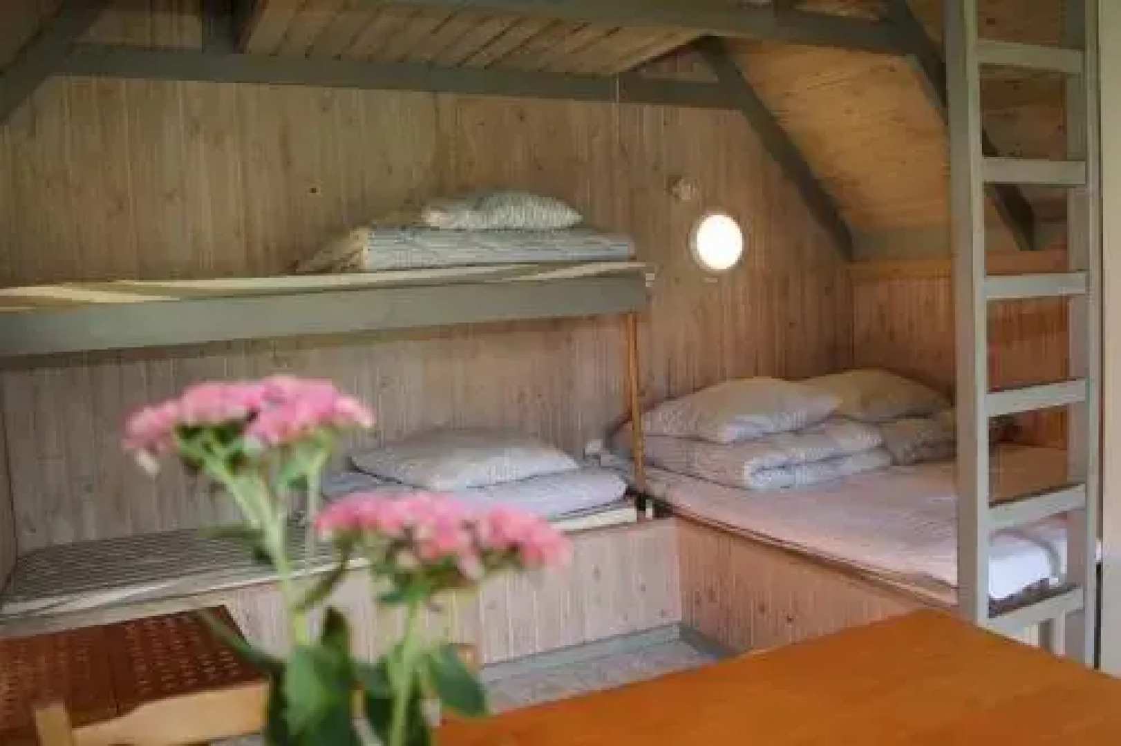 Hjarbæk Fjord Camping & Cottages