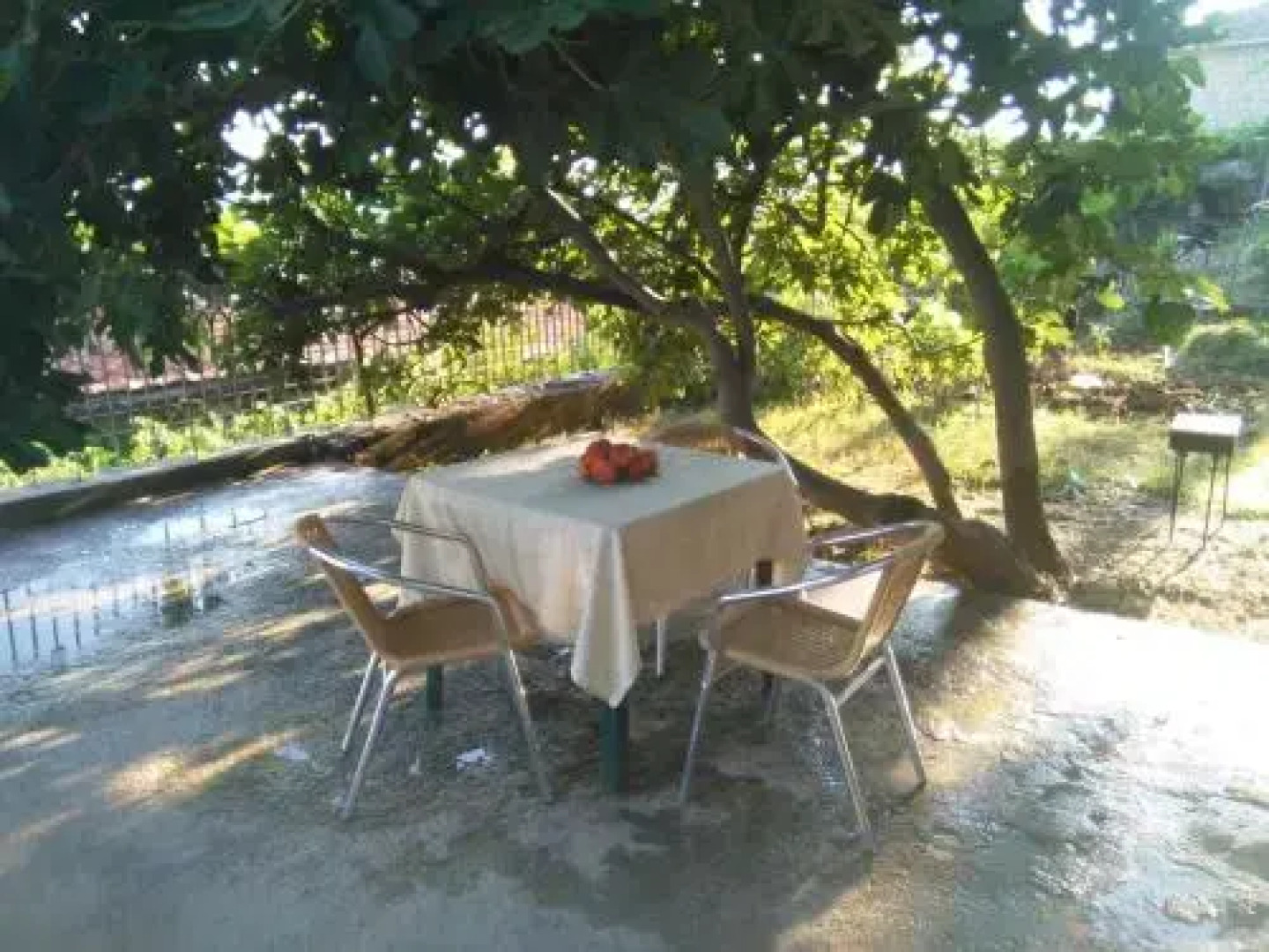 Apartman Carine