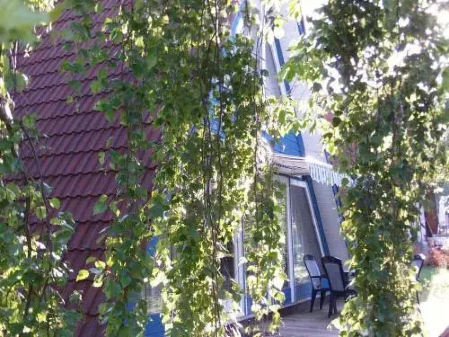 Ferienhaus Mohnblume