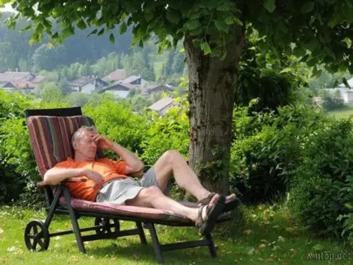 Ferienwohnungen Bredl