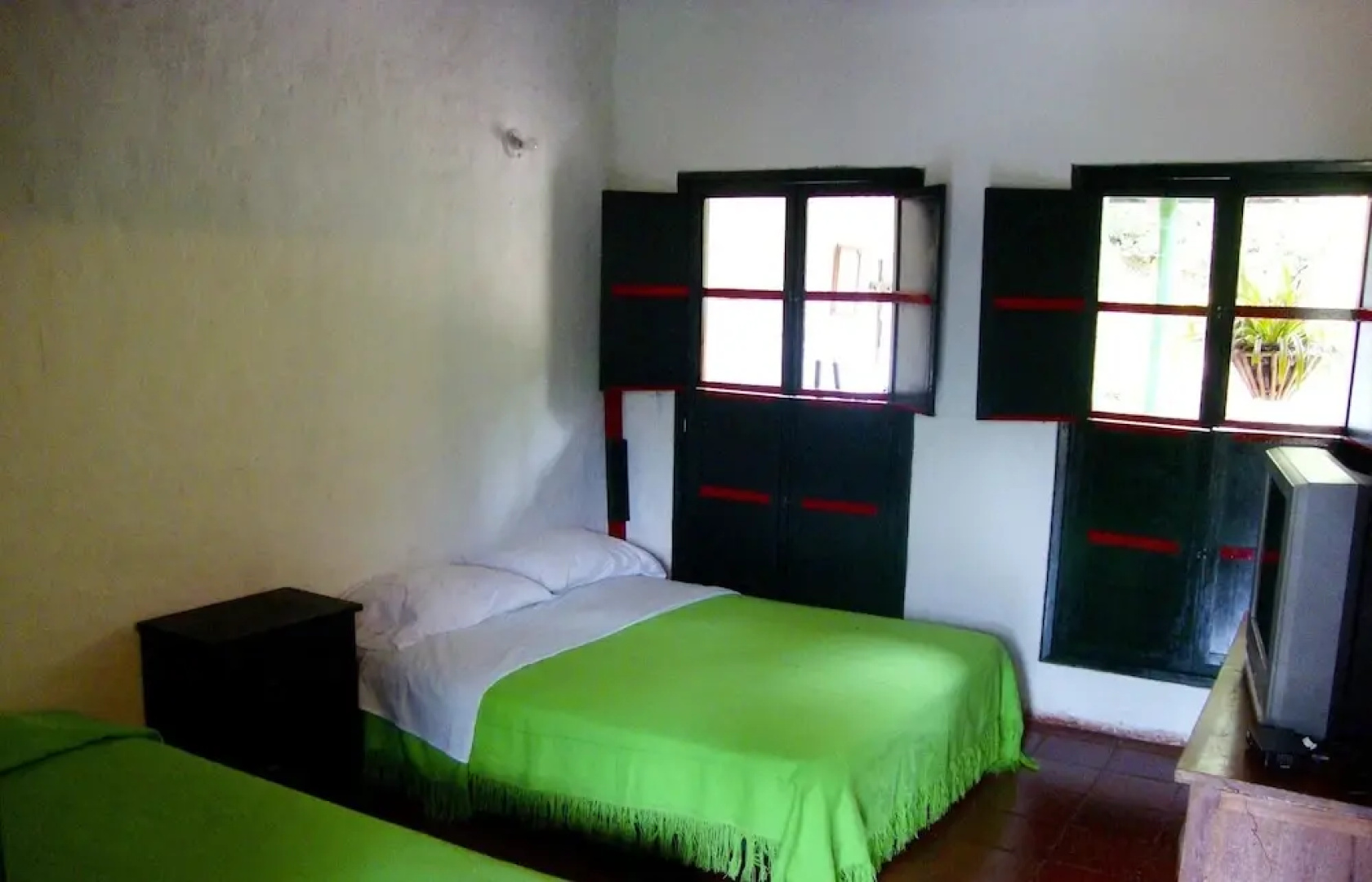Eco Suits Verdes