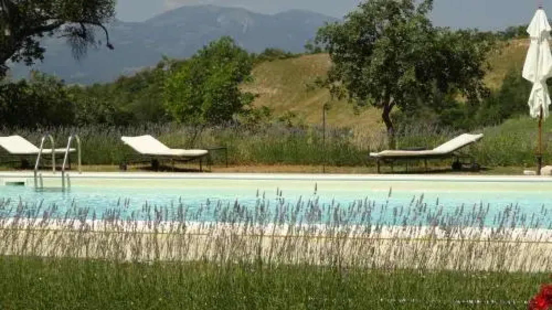 Agriturismo Vellaneta