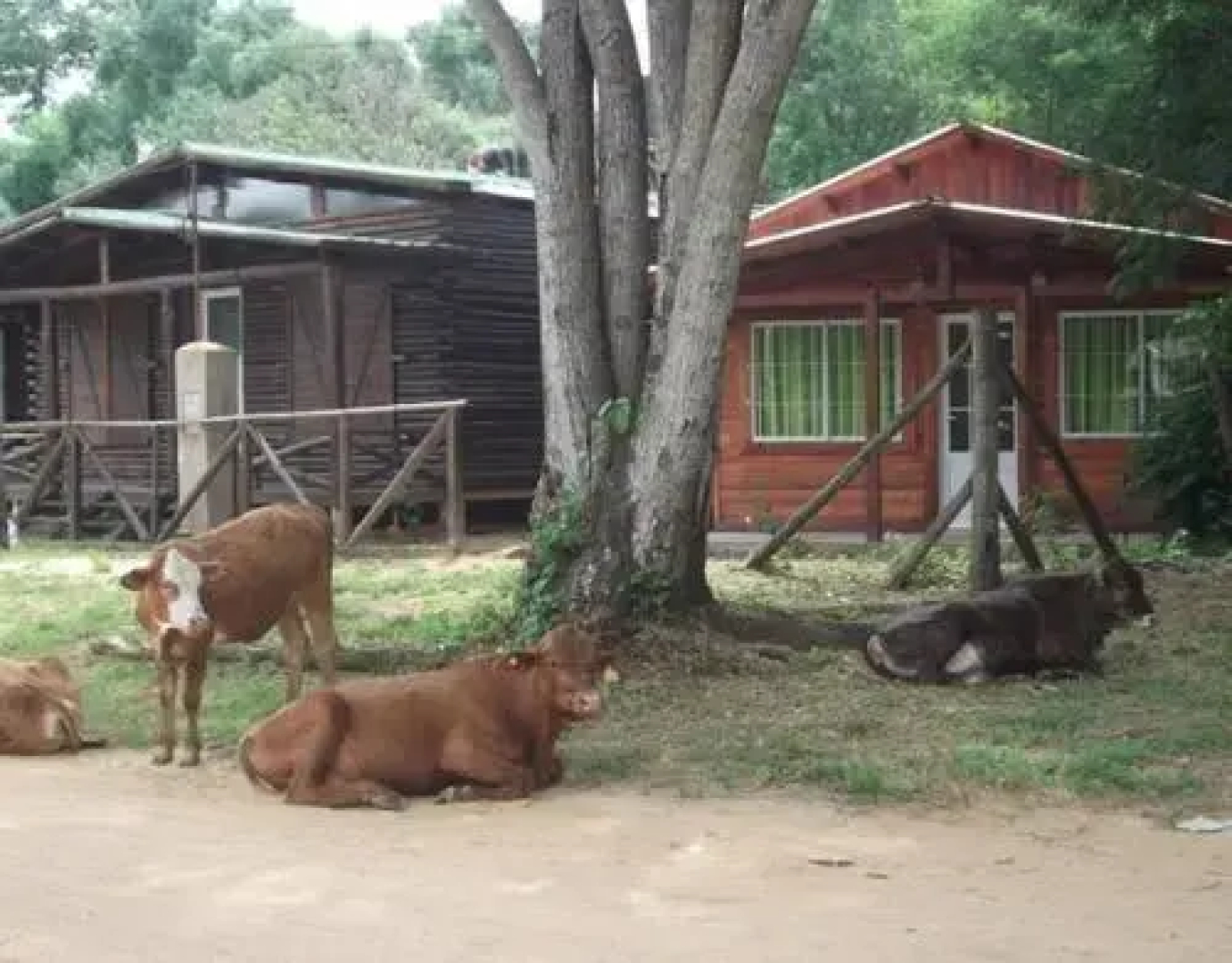 Cabañas Los Timbó