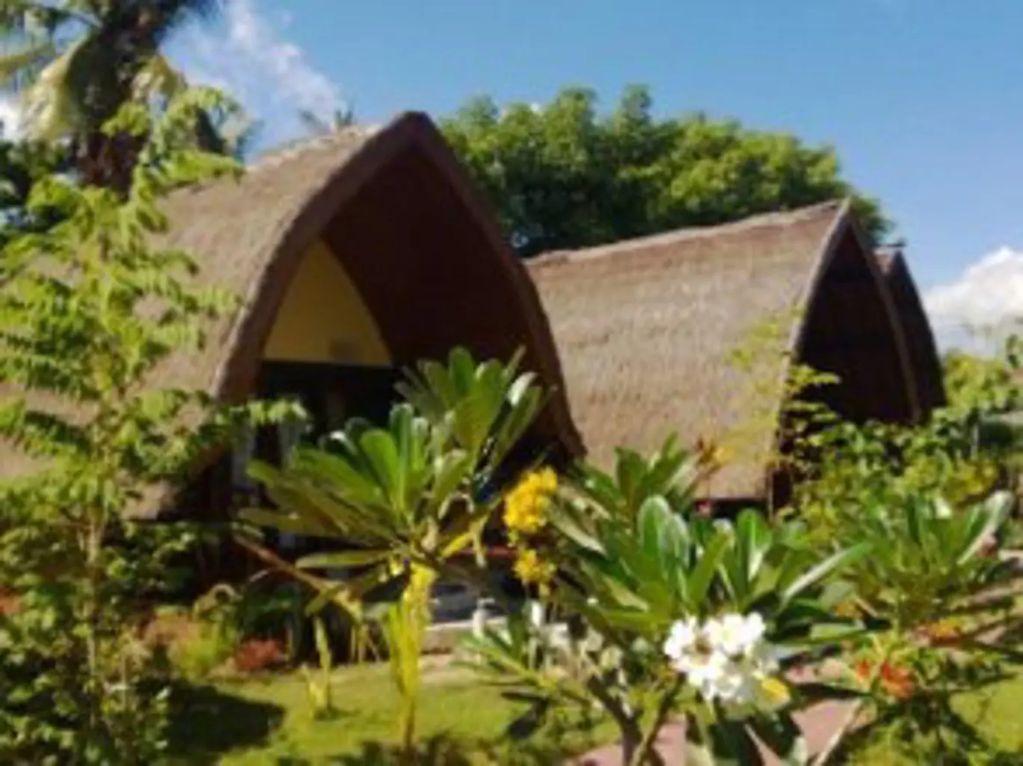 Turtle Bungalow