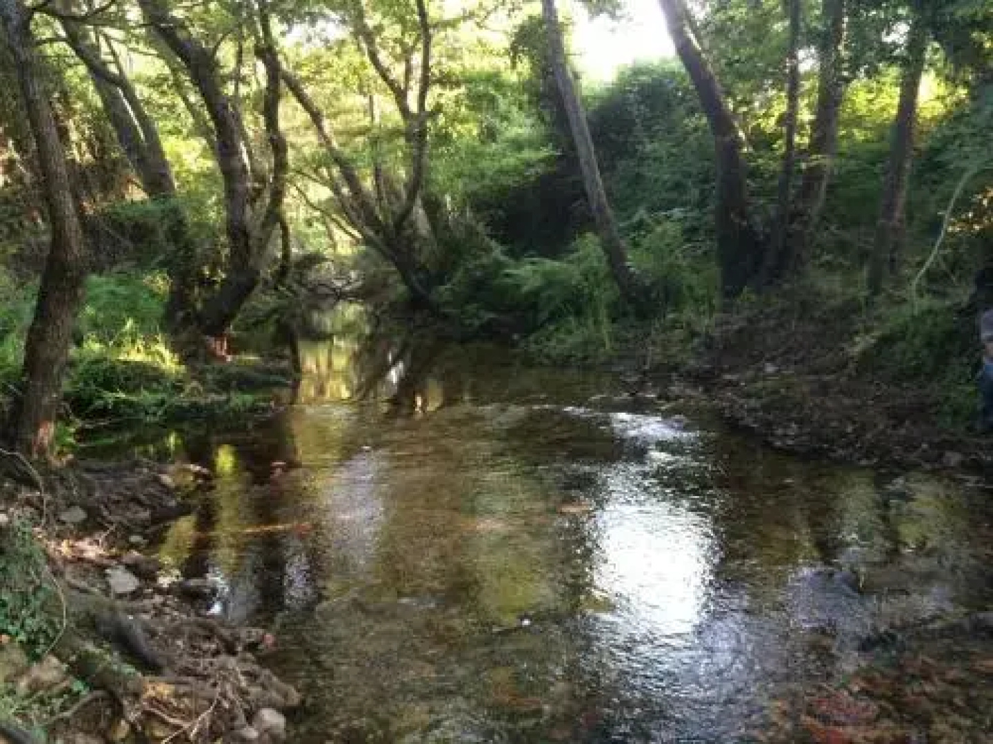 Agriturismo Campesi
