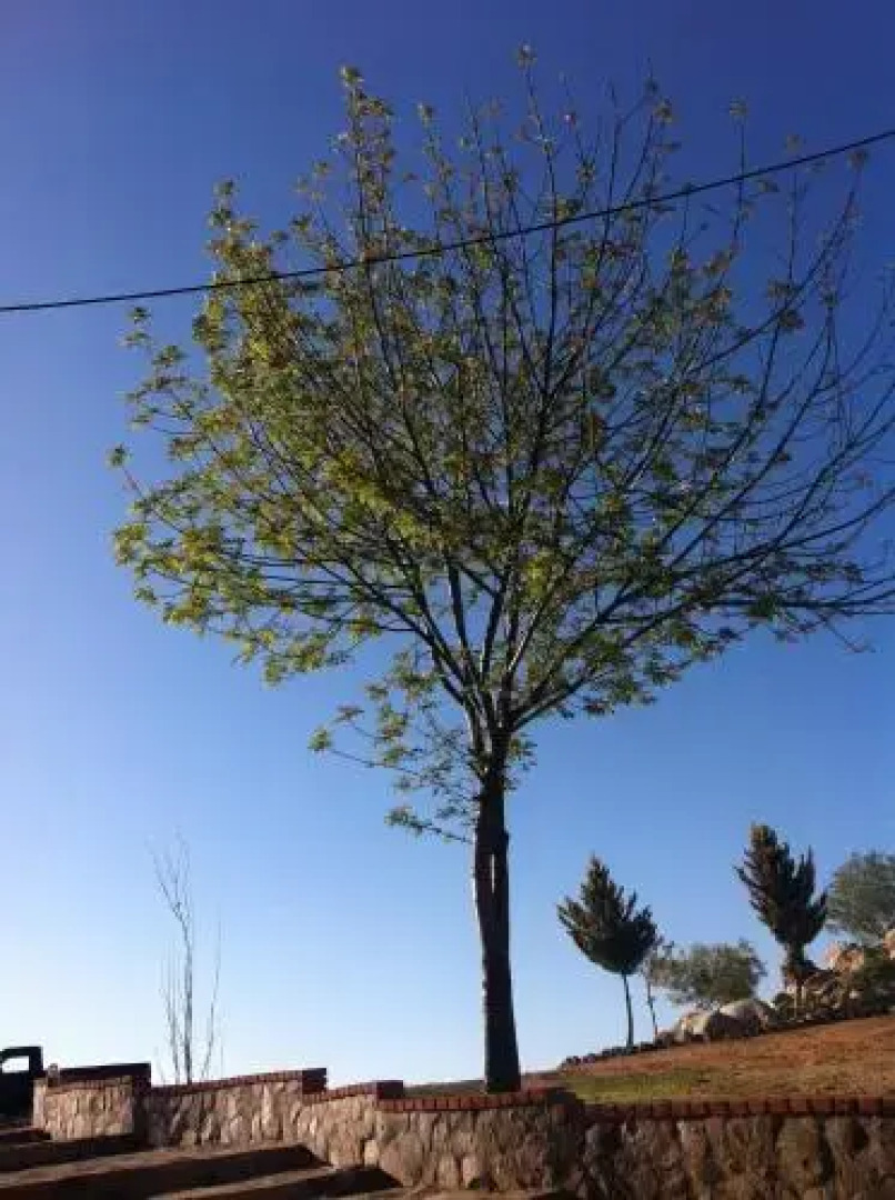 El Rincón Del Valle en la Ruta Del Vino