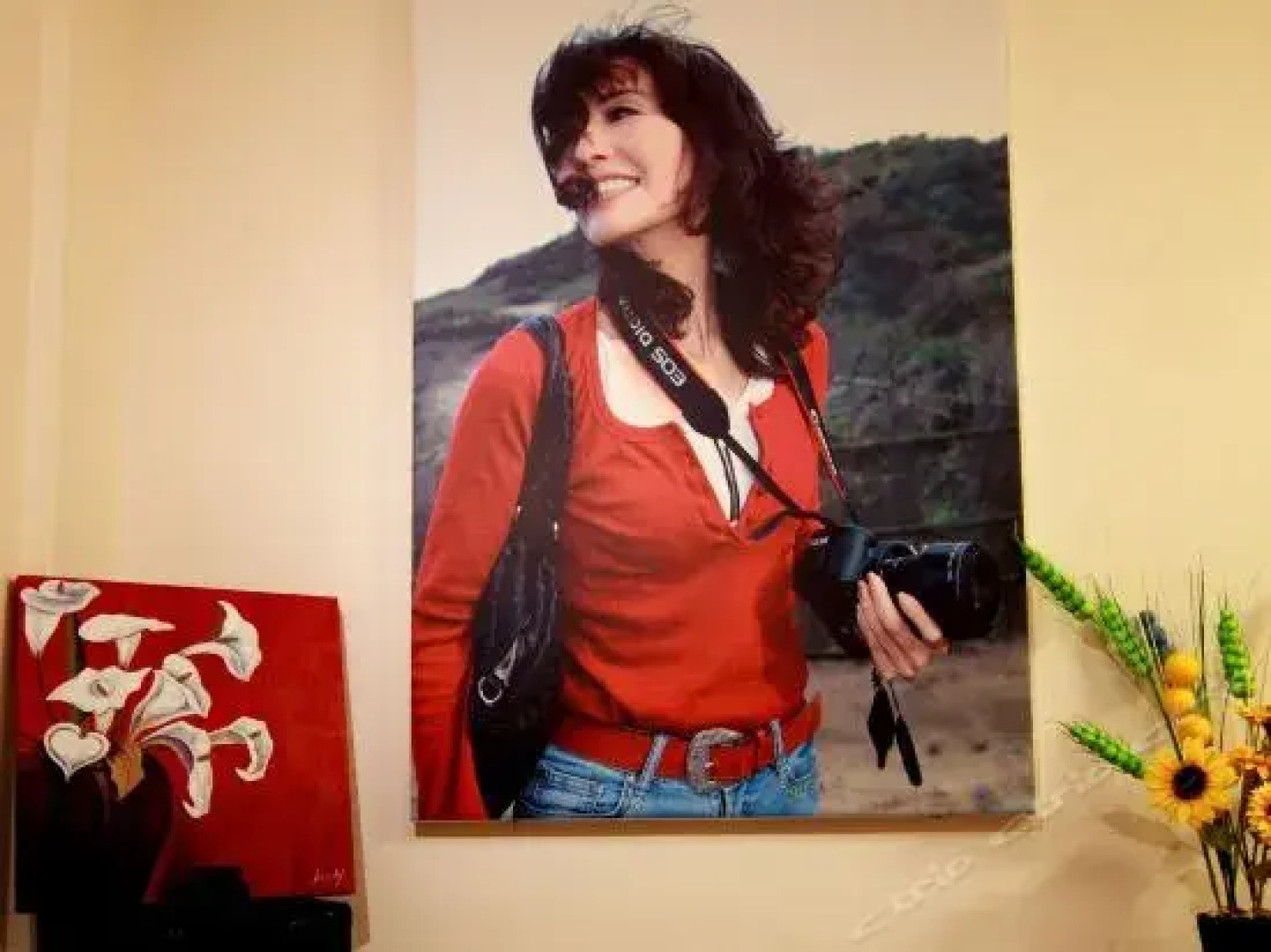 Travel Bird Bed And Breakfast