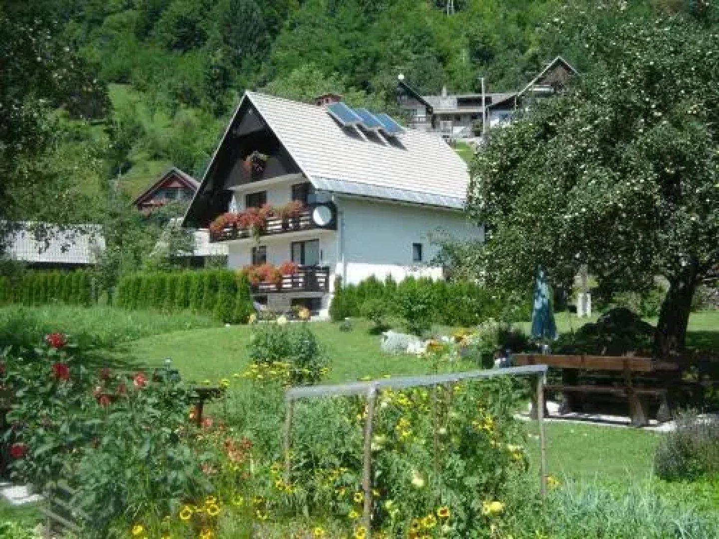Apartments & Rooms Stanko Stare