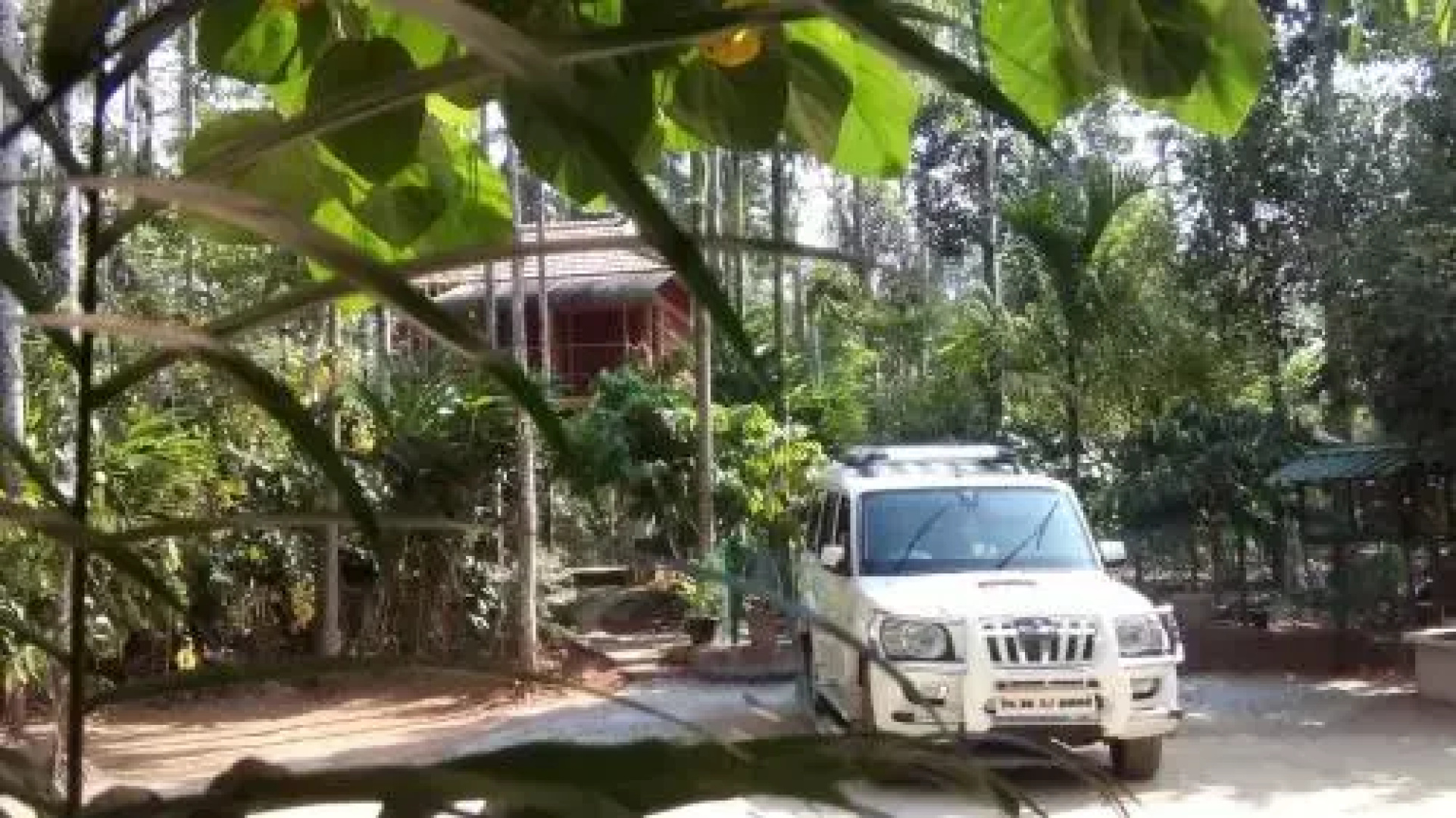 Wayanad Green Park