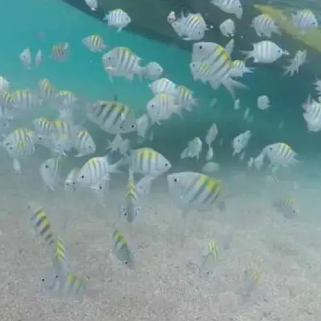 Pousada Corais dos Milagres