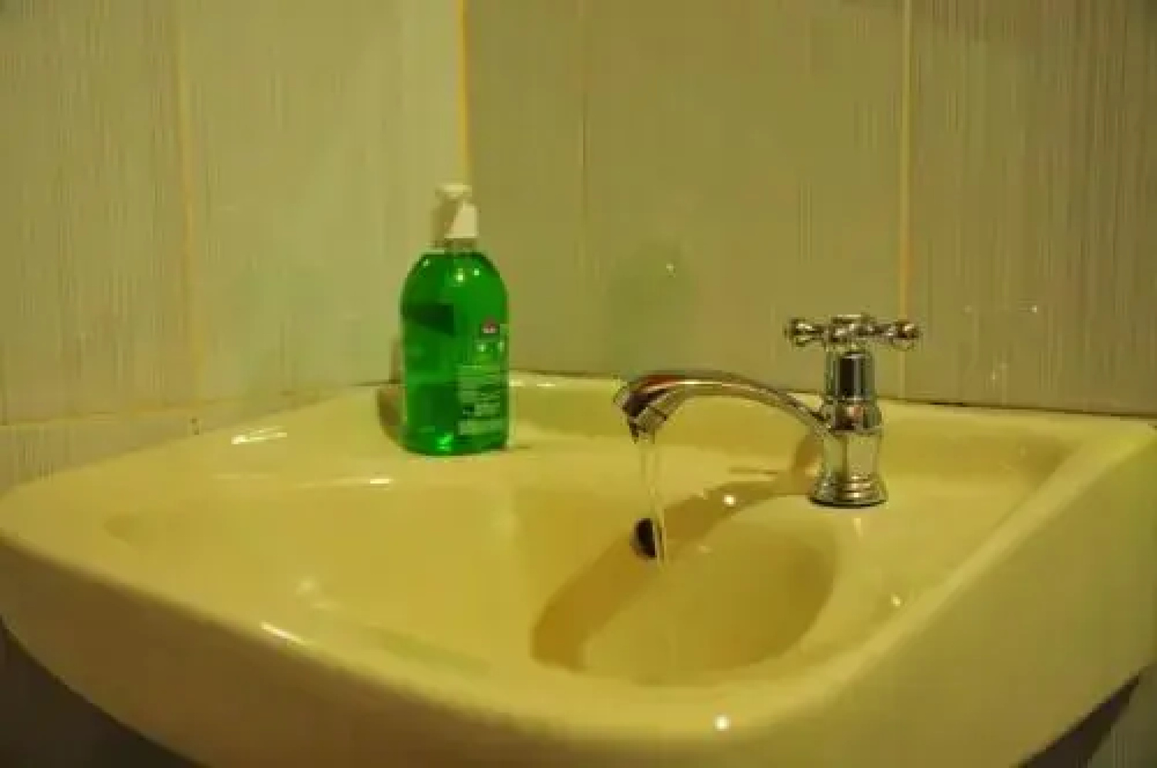 Green Haven Homestay