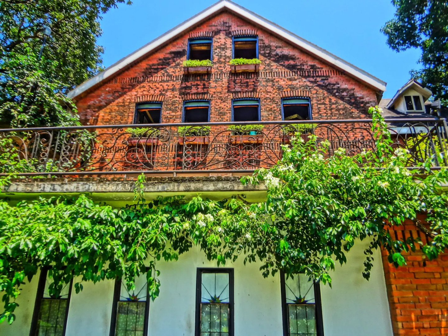 Casa San Miguel Bed And Breakfast