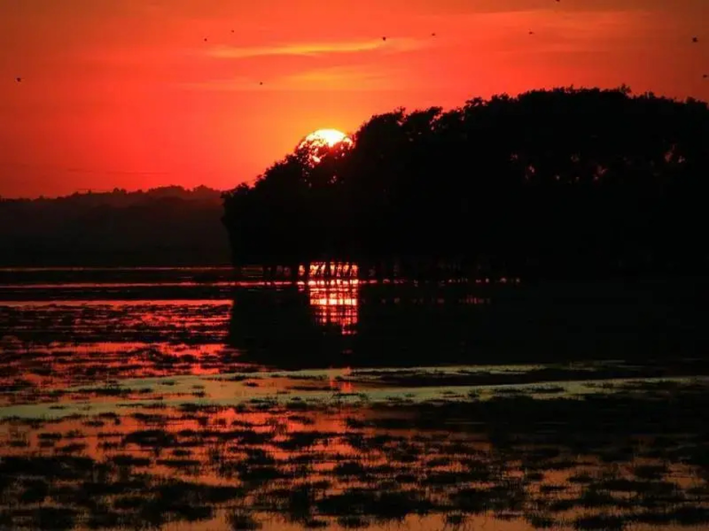 Moe Yun Gyi Wildlife Sanctuary & Wetlands Resort