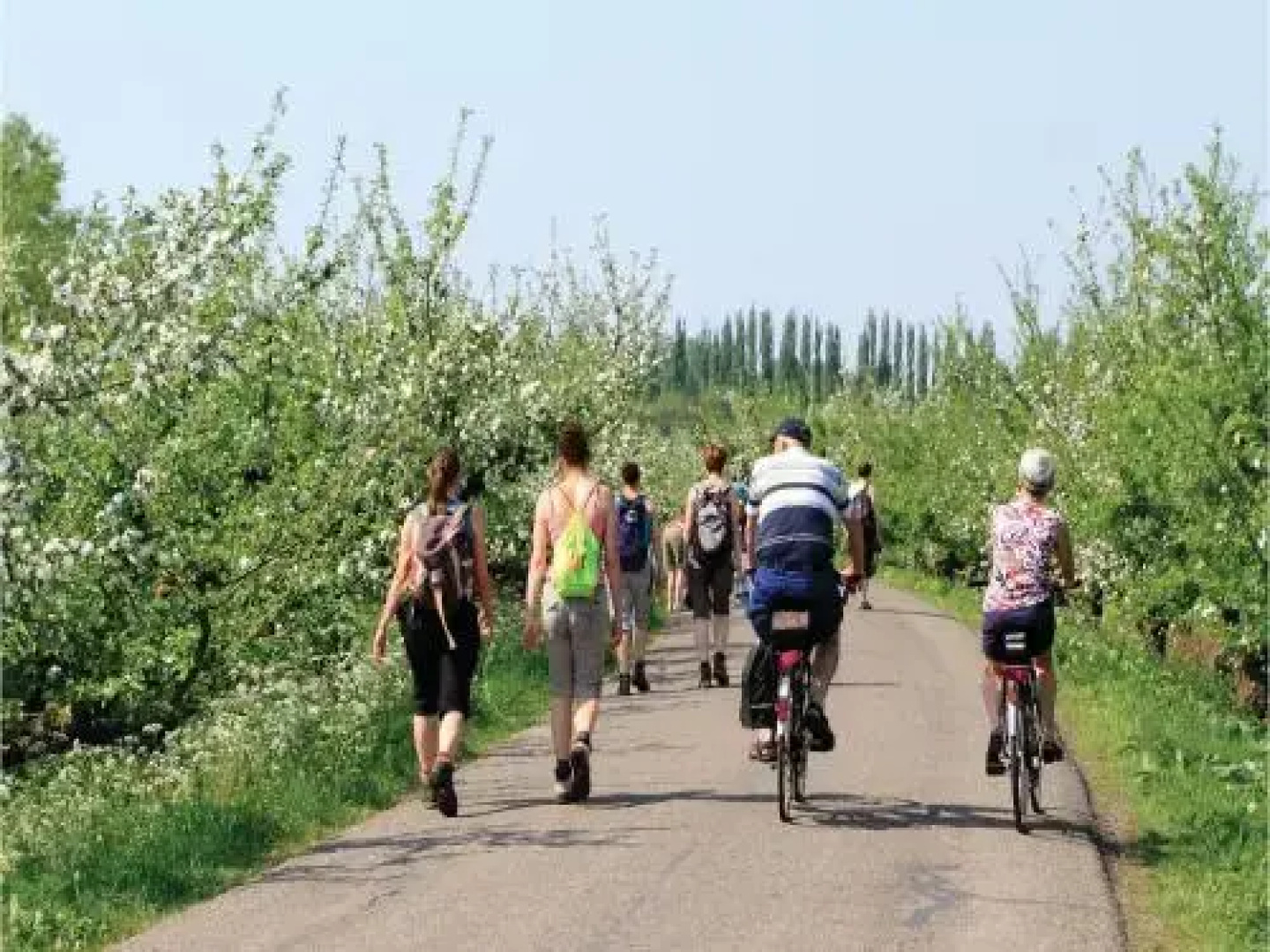 De Betuwe Hoeve