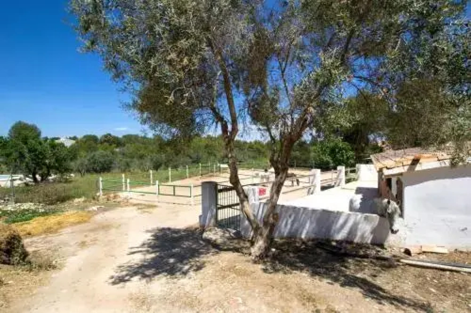 Villa Cortez