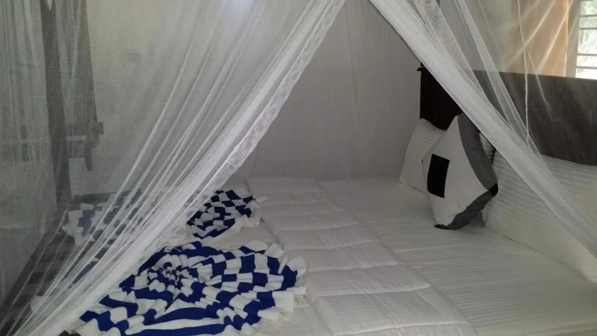 Eco Beach Home Stay