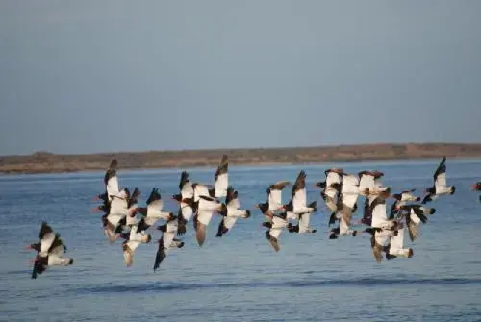 Bahia Bustamante Lodge
