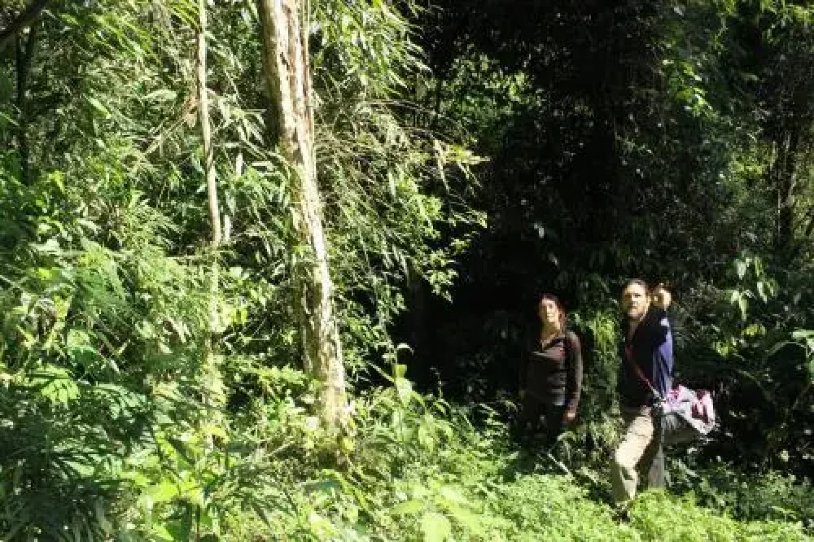 La Perla de la Selva Lodge