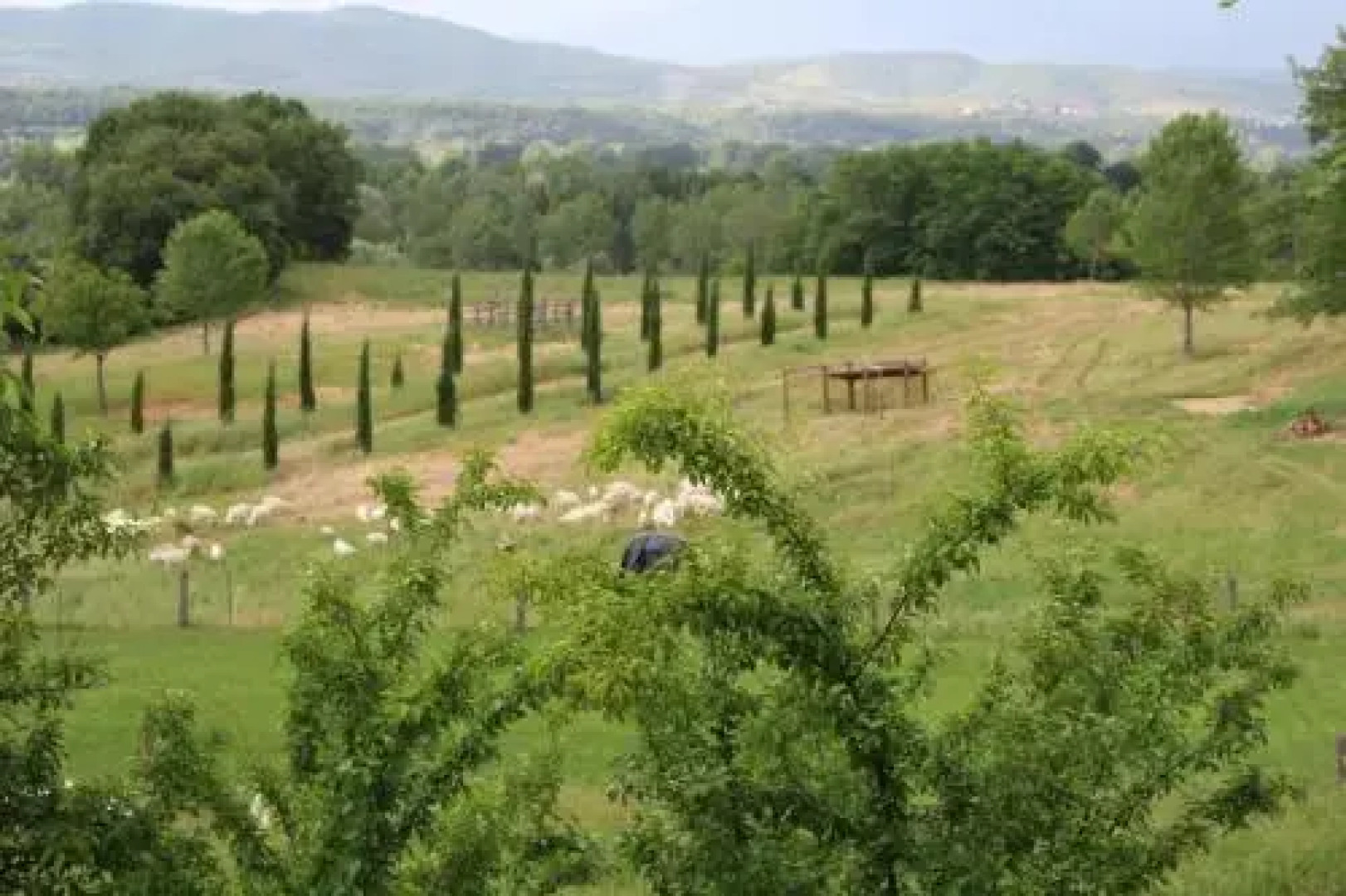 Fattoria Tabarrino