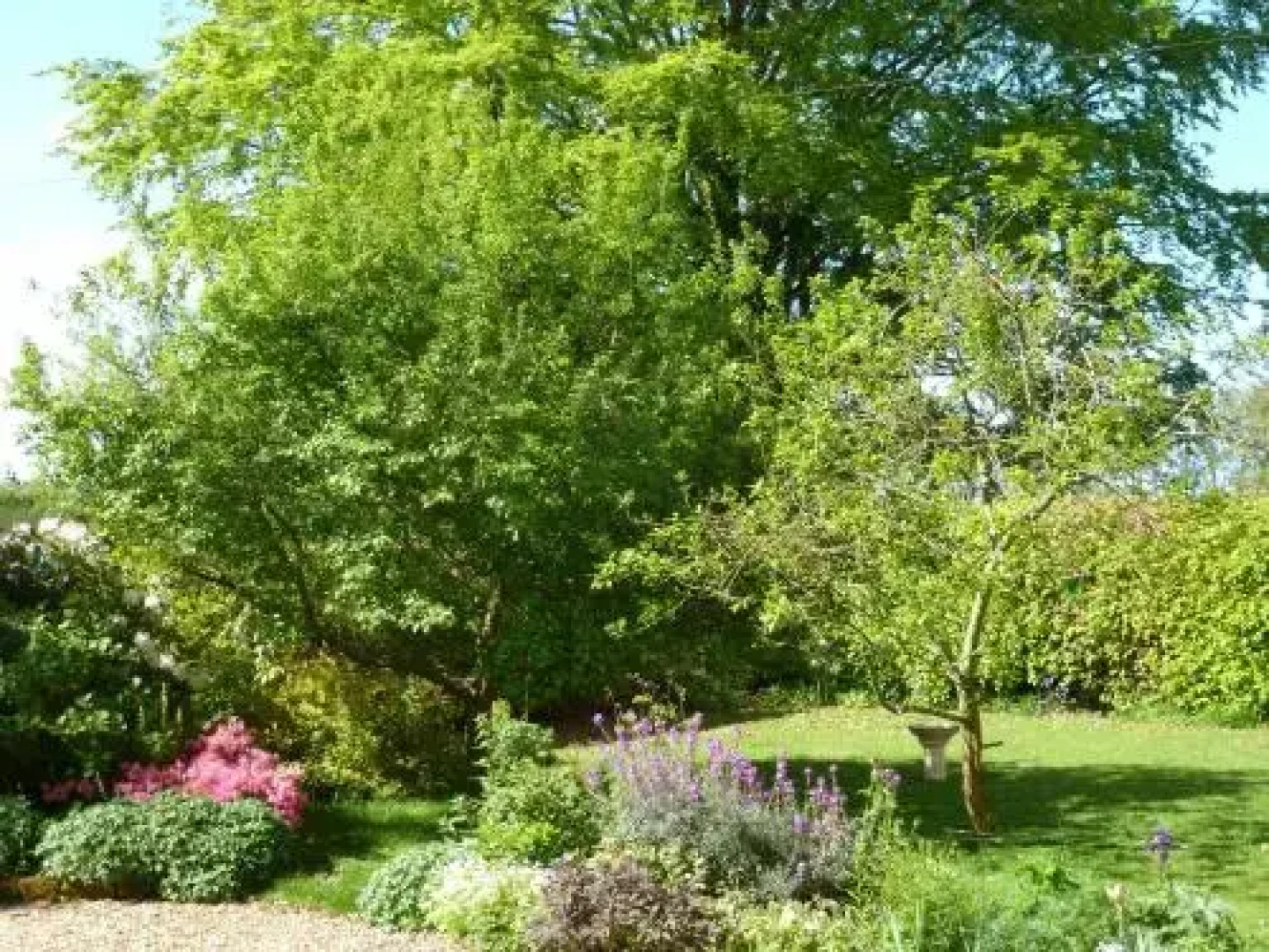 Apple Tree Cottage BB