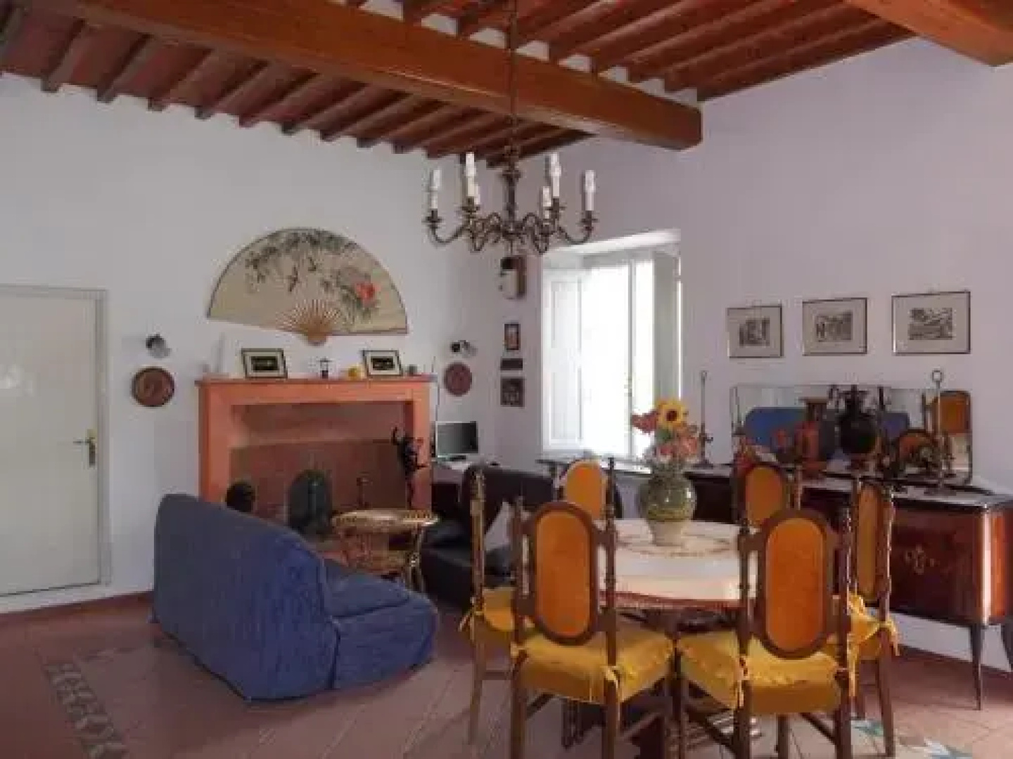 Casa David
