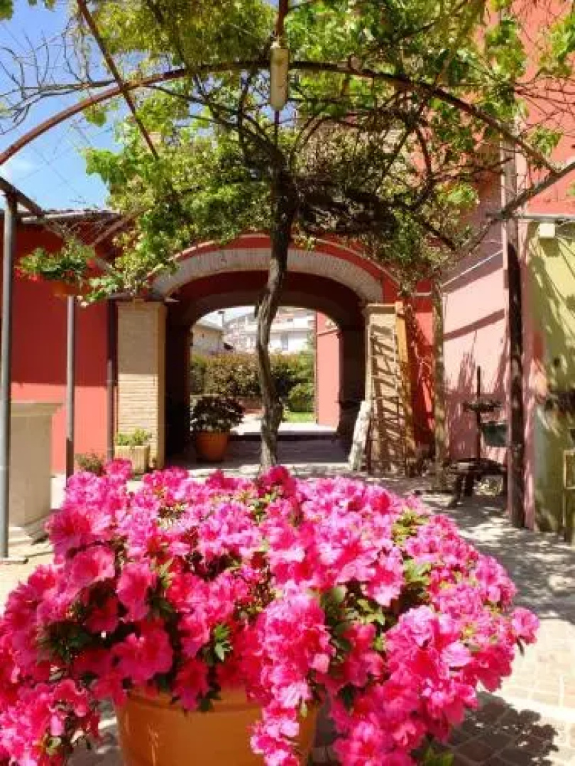 LUpupa B&B