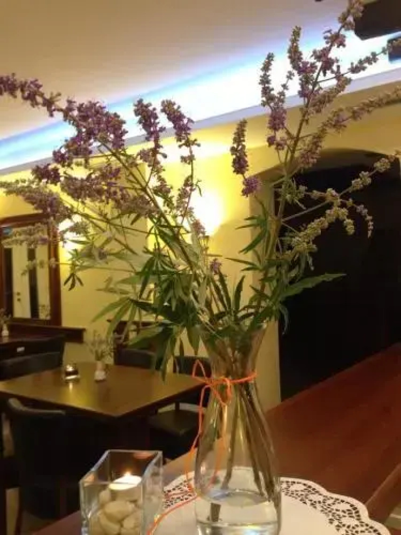 Guest House Neho