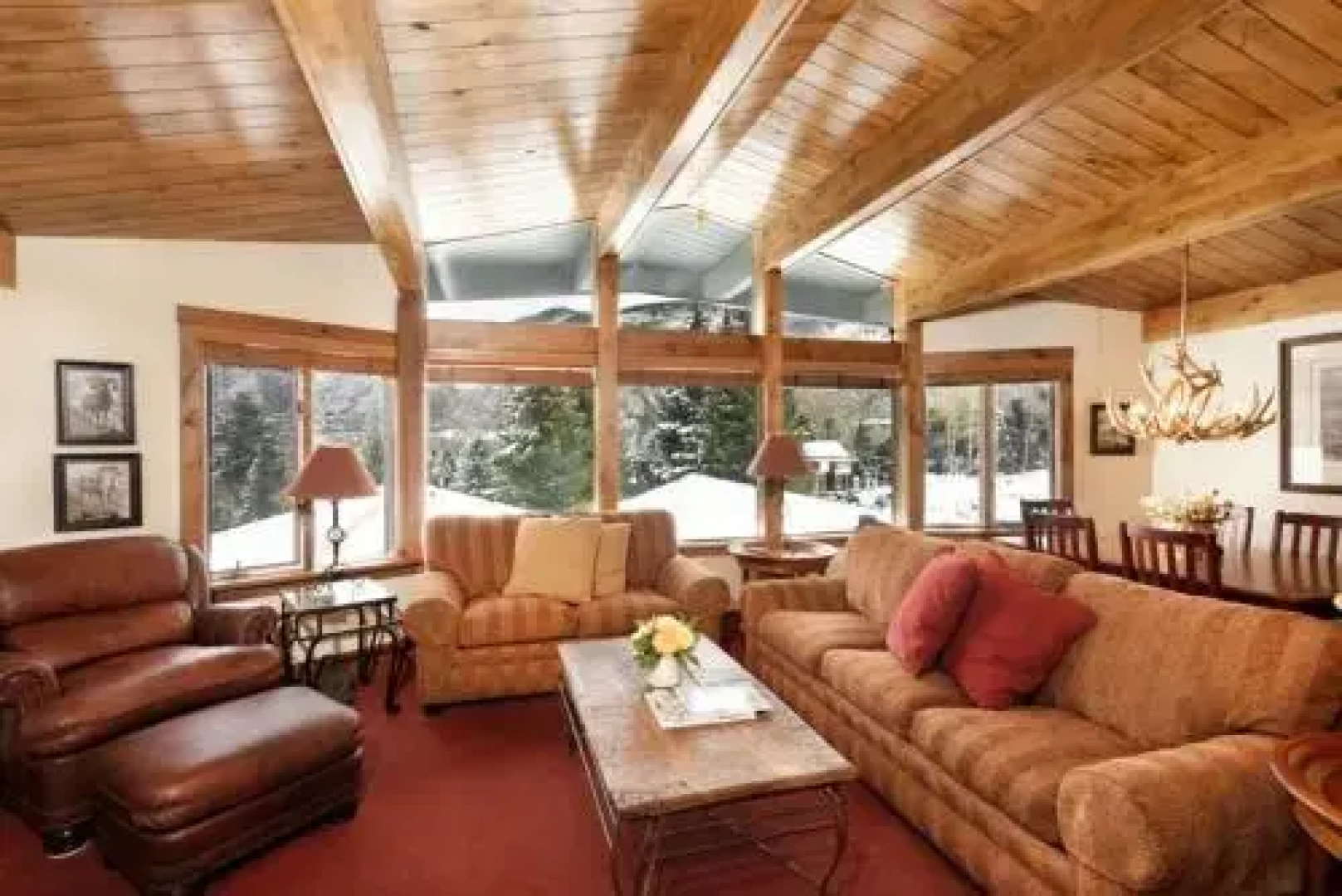 Aspen Shadow Mountain 14