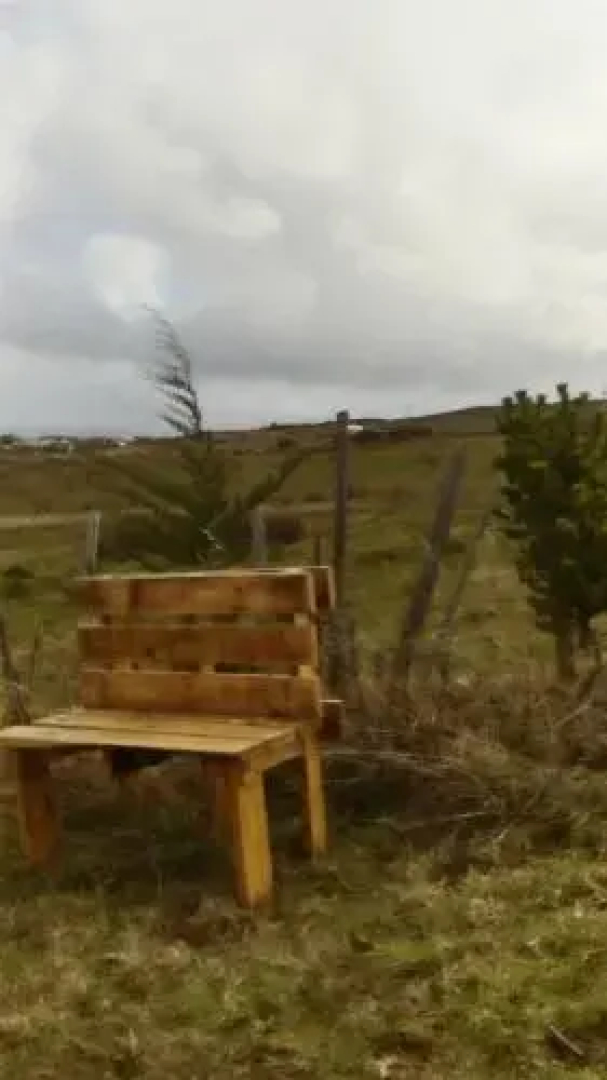 Cabañas Campestres Las Rosas