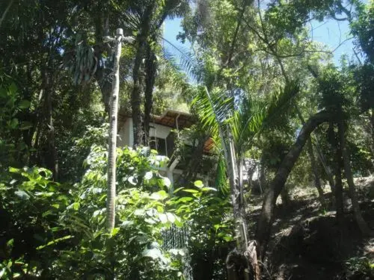 Casa Shuhari