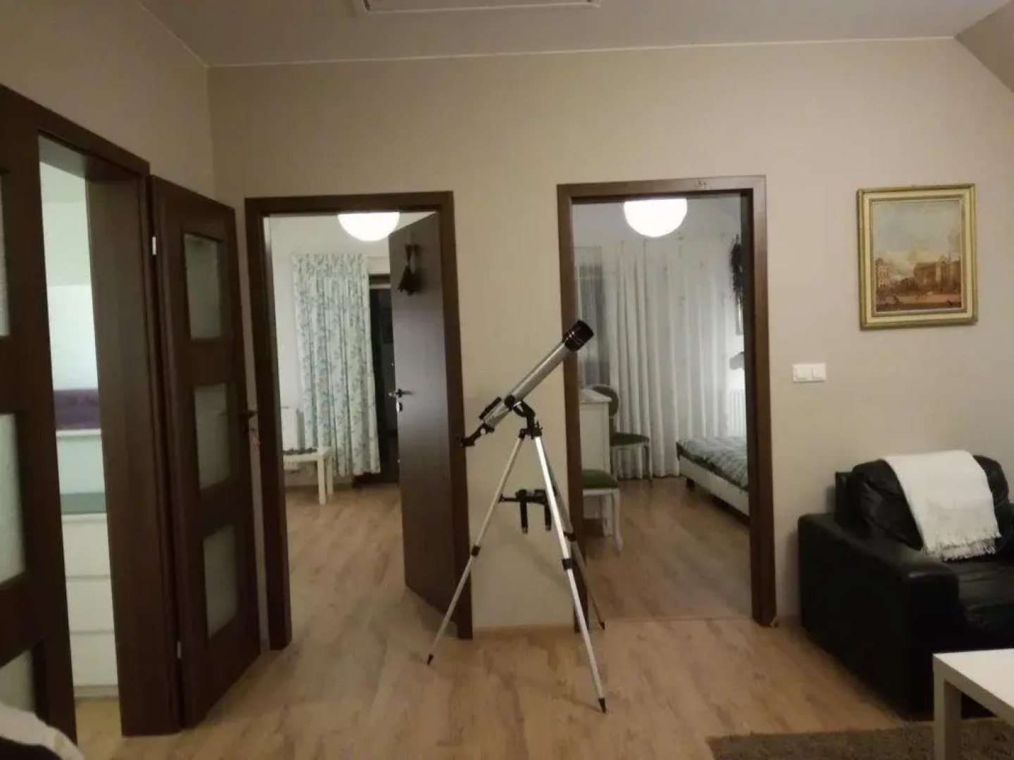 Strefa Ciszy - Lawenda