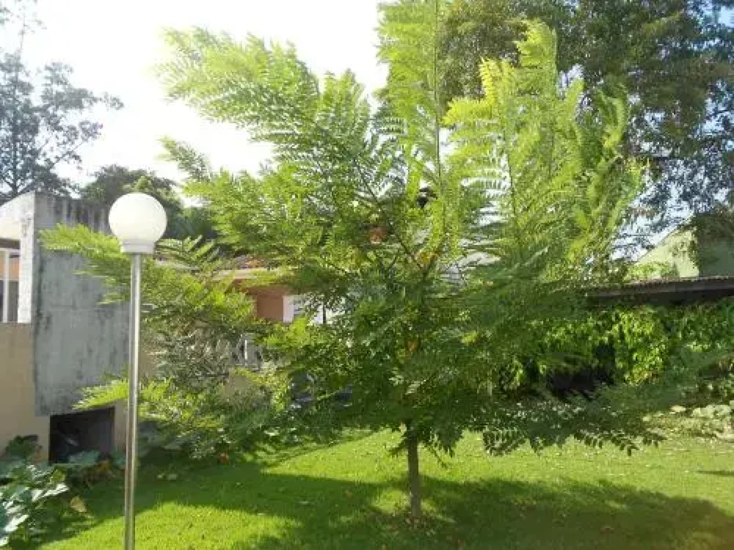 Suítes do Tombo