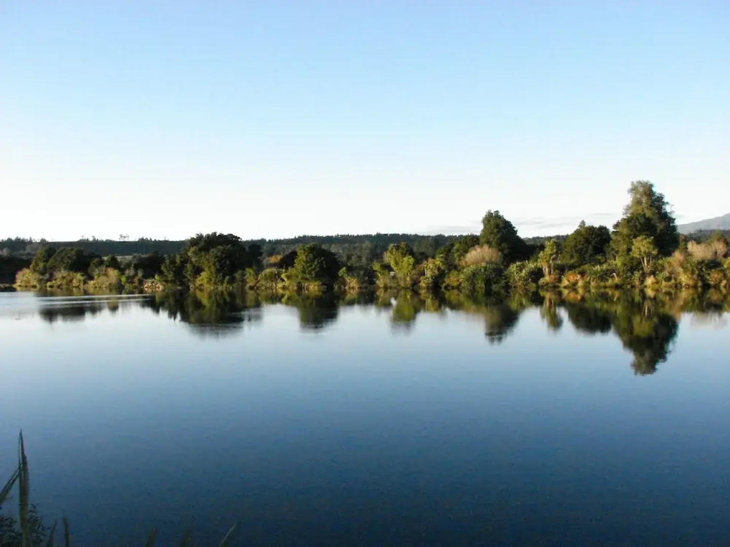 Ferntownlodge