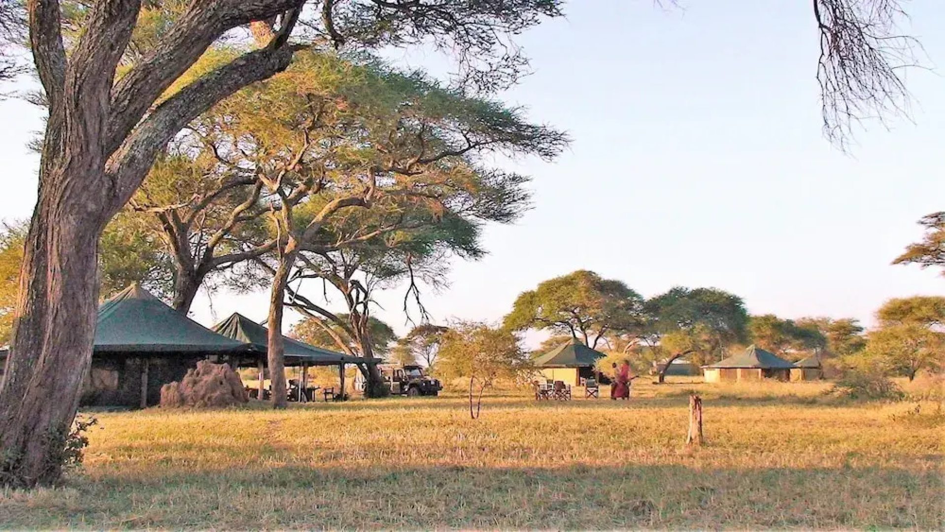 Corfield Camp Tarangire